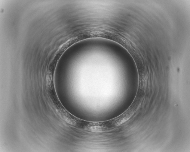X0000088180228200705151223