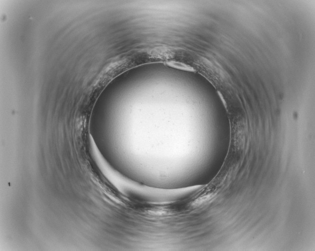 X0000088180229200705151223