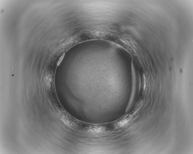 X0000088180235200705151223