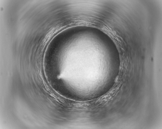 X0000088180241200705151222
