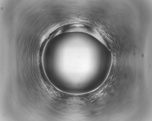 X0000088180244200705151222