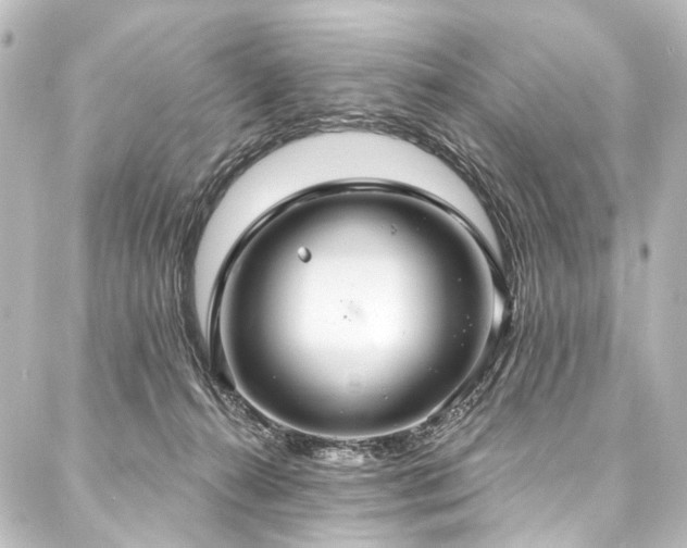 X0000088180272200705151222