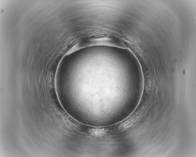 X0000088180273200705151222