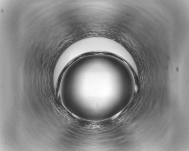 X0000088180276200705151222