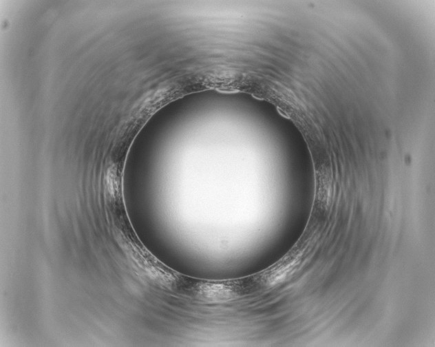 X0000088180287200705151222