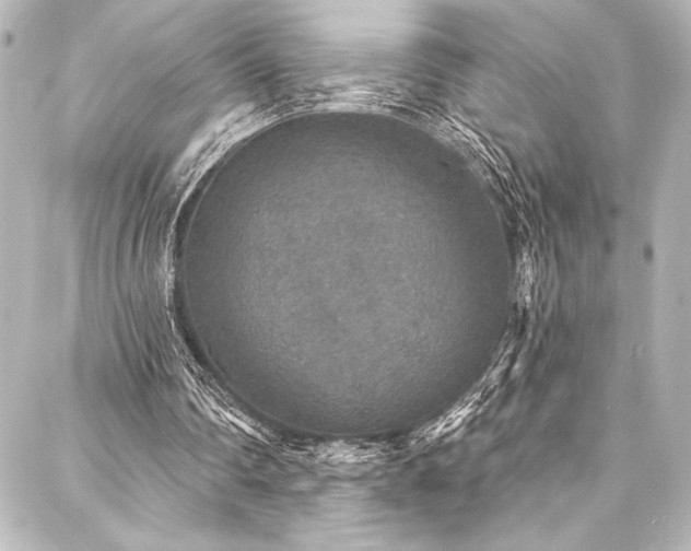 X0000088180290200705151222
