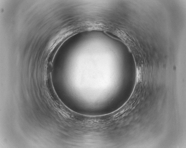 X0000088180291200705151222