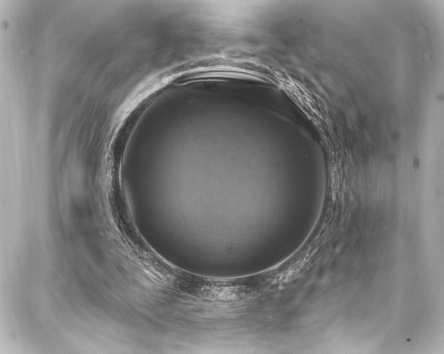 X0000088180295200705151222