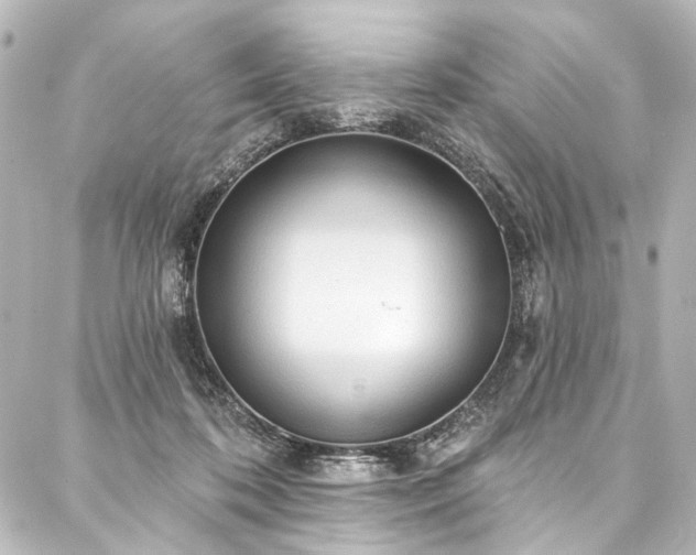 X0000088180316200705151221