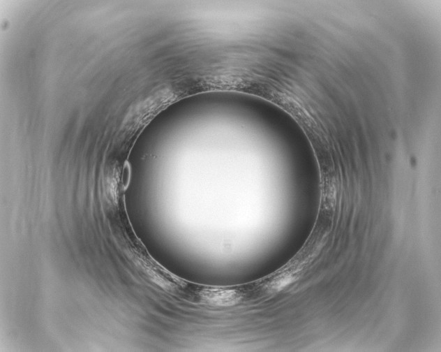 X0000088180334200705151221