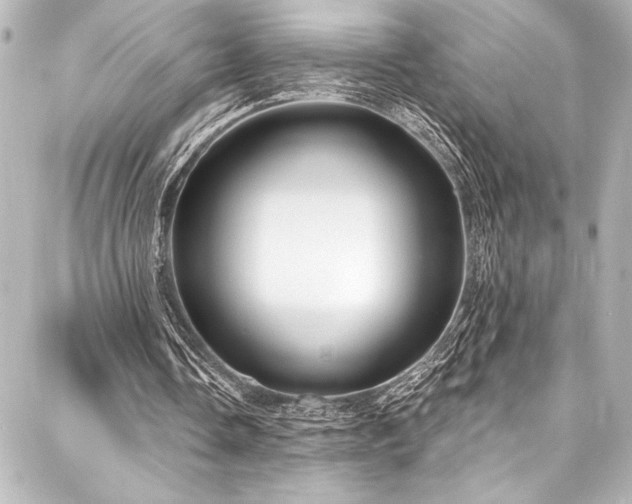 X0000088180338200705151220