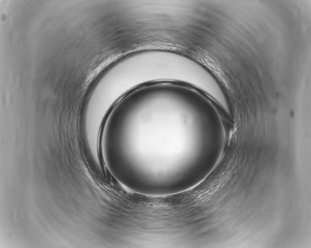 X0000088180348200705151220