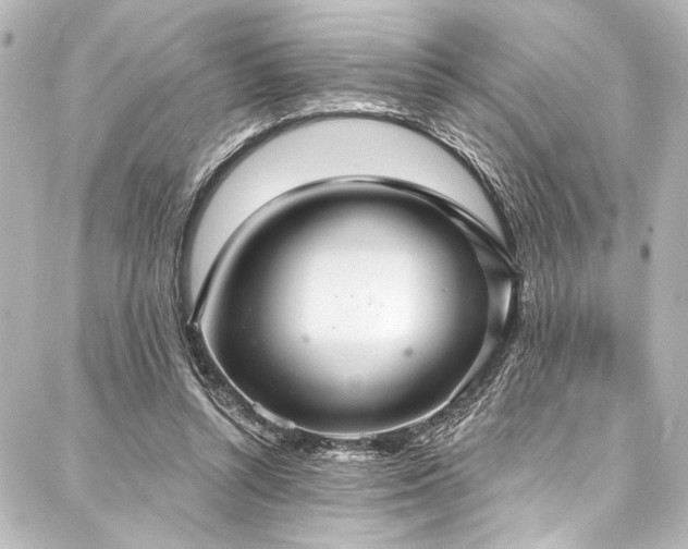 X0000088180352200705151220