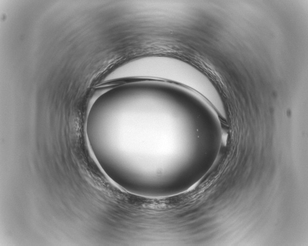 X0000088180362200705151221