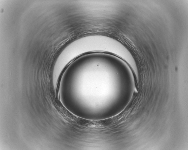 X0000088180364200705151221