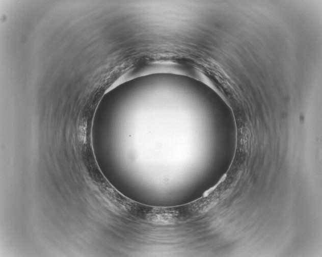 X0000088180368200705151221