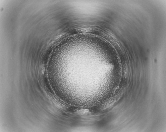 X0000088180374200705151221