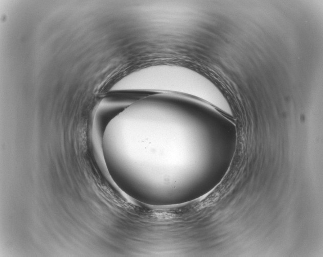X0000088180376200705151221