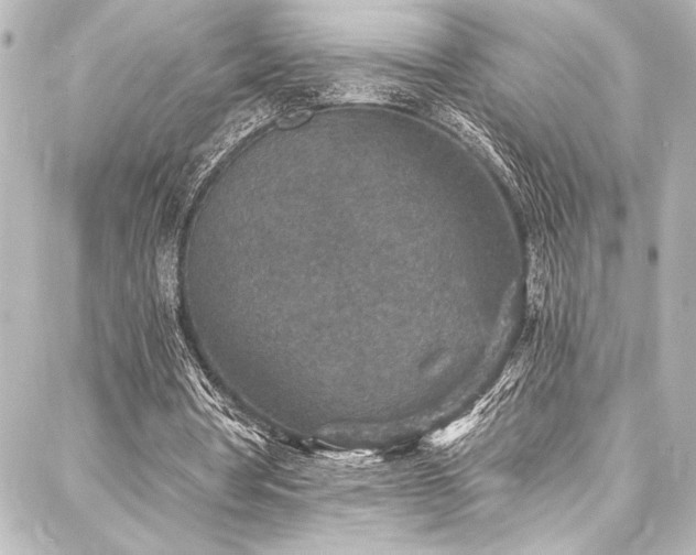 X0000088180386200705151220