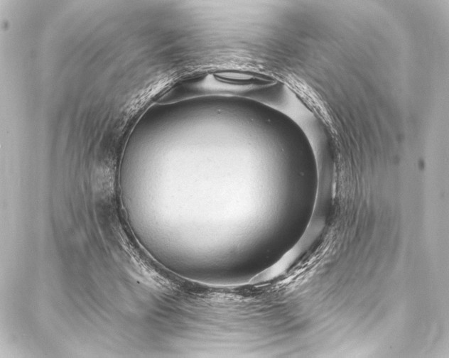 X0000088180393200705151220