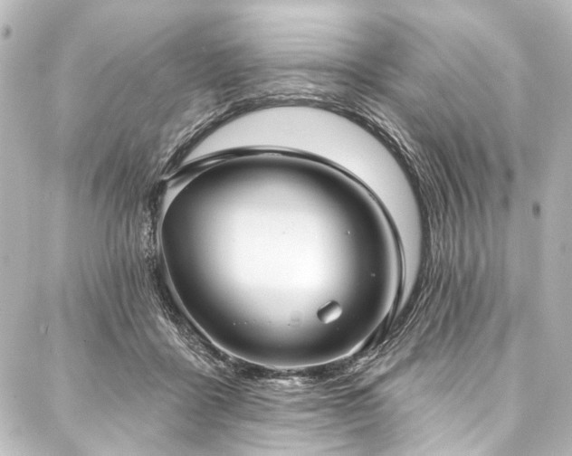 X0000088180411200705151220