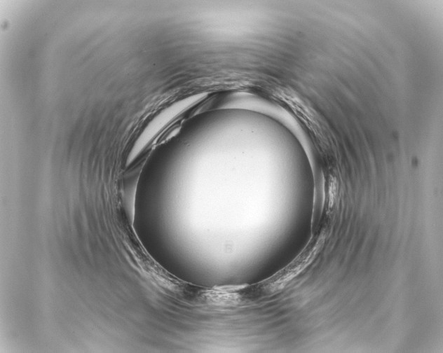X0000088180429200705151219