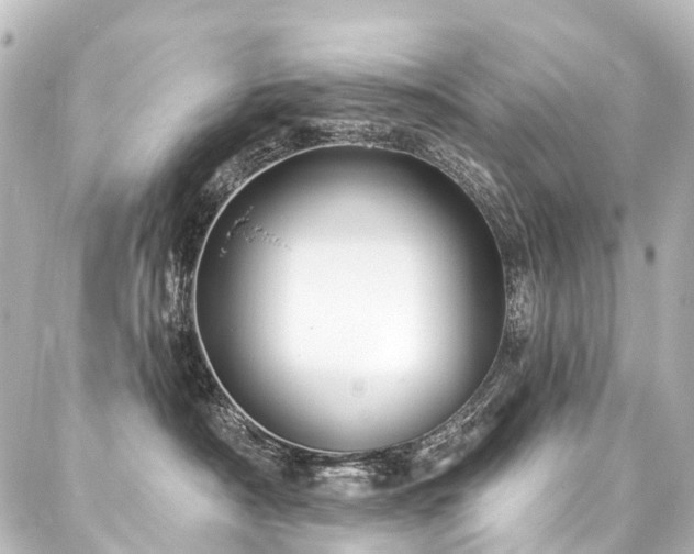 X0000088180430200705151219