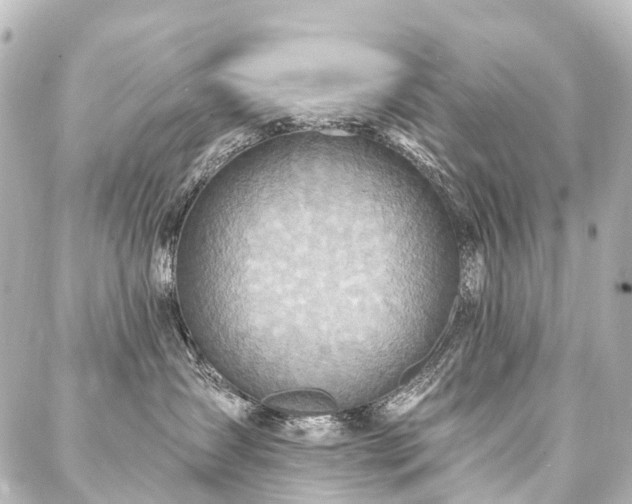 X0000088180431200705151219