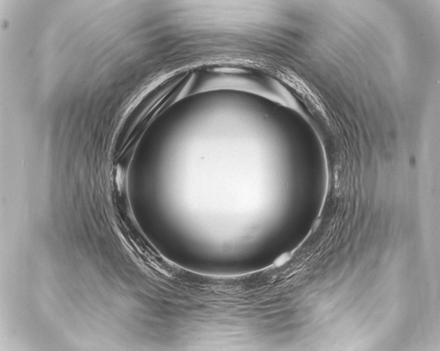 X0000088180436200705151219