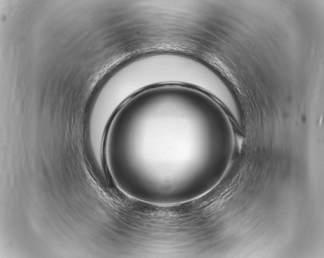 X0000088180444200705151219