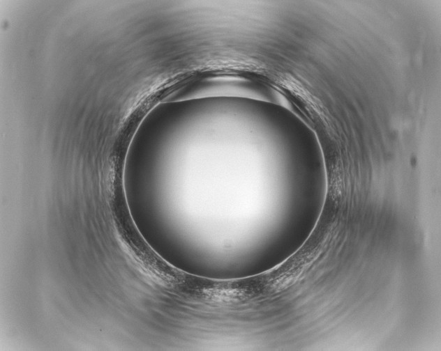 X0000088180448200705151219