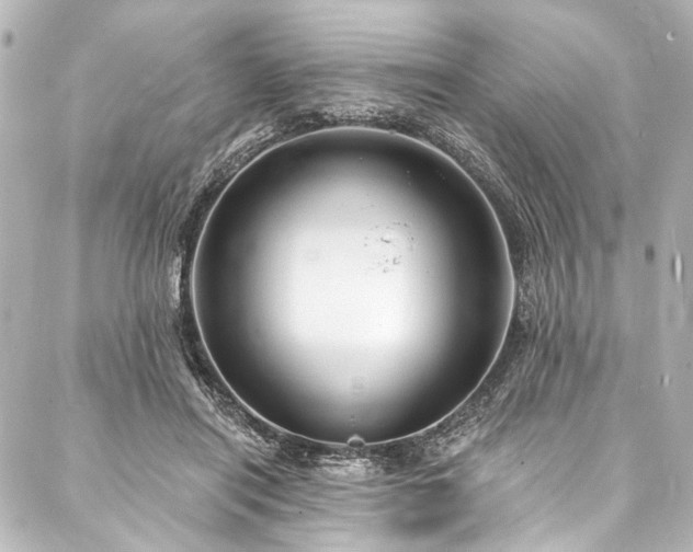X0000088180454200705151219