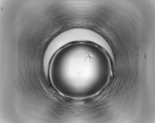 X0000088180456200705151219