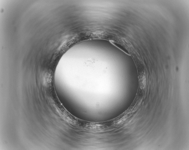X0000088180472200705151219