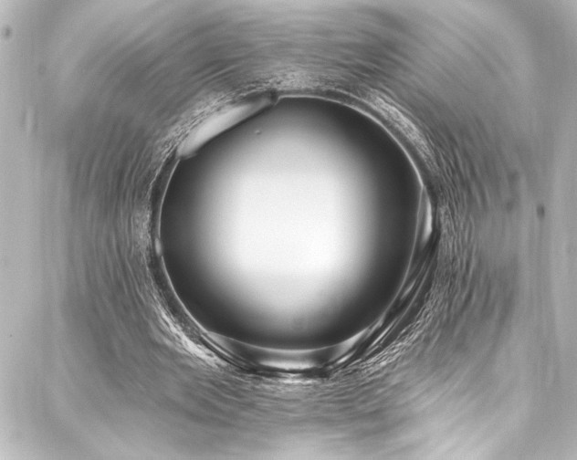 X0000088180485200705151218