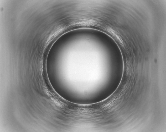 X0000088180486200705151218