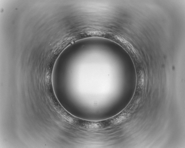 X0000088180513200705151218