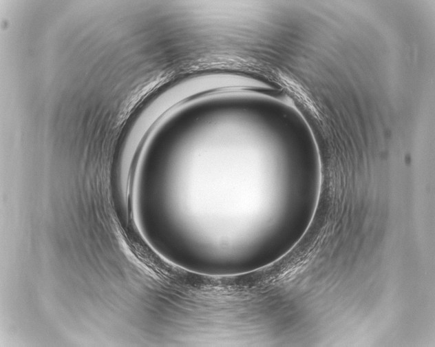 X0000088180538200705151217