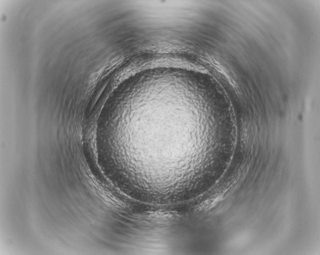 X0000088180545200705151217