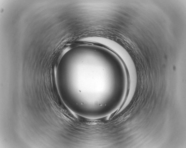 X0000088180558200705151217