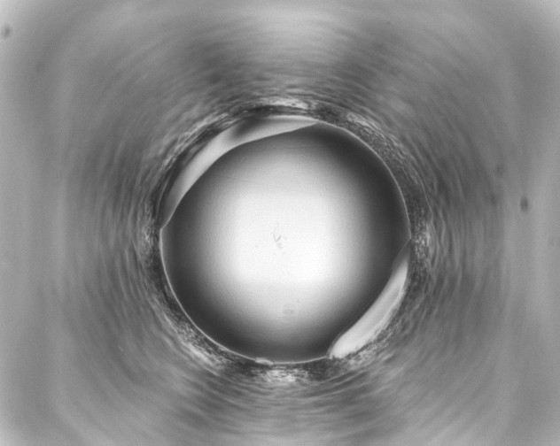 X0000088180566200705151218