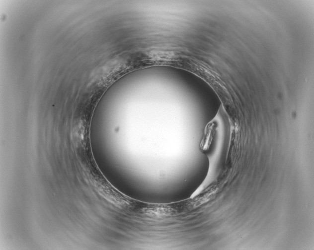 X0000088180567200705151218