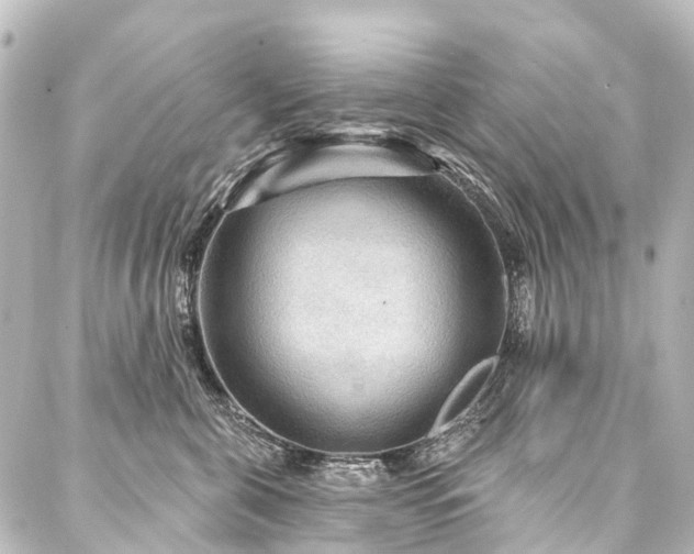 X0000088180571200705151218