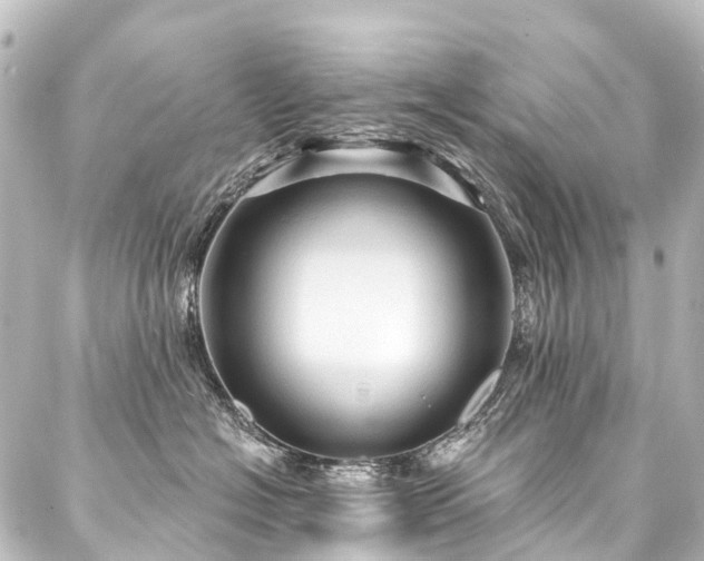 X0000088180574200705151218