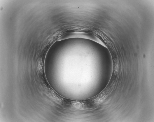 X0000088180616200705151216