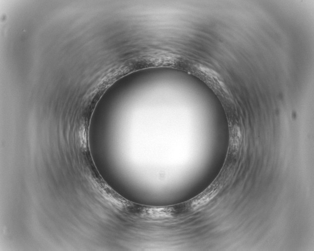X0000088180622200705151216