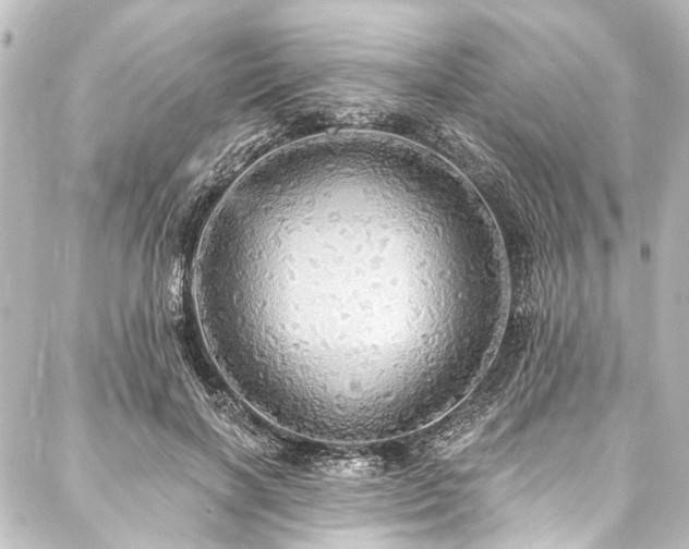 X0000088180646200705151216