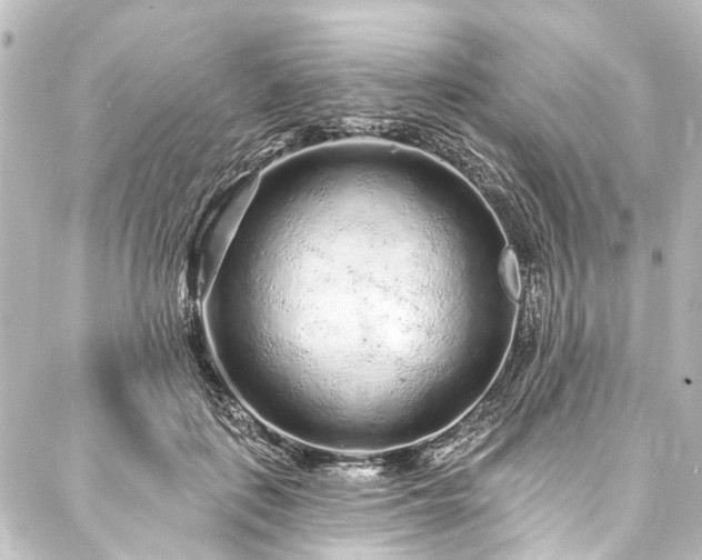 X0000088180651200705151216