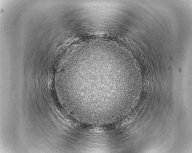 X0000088180656200705151216