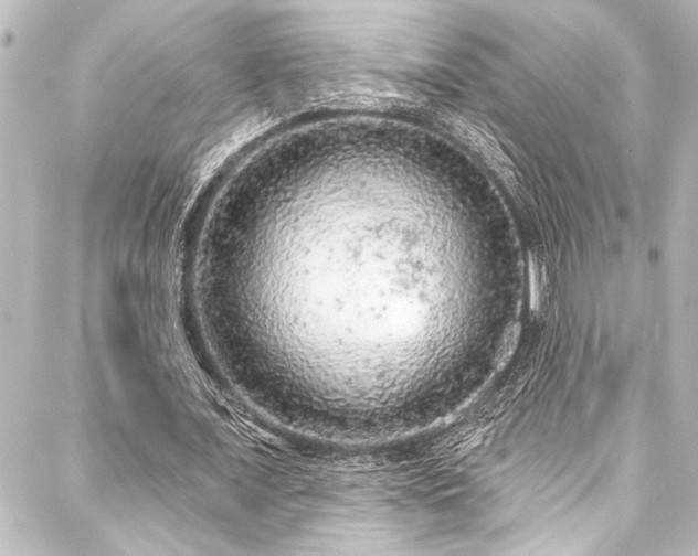 X0000088180675200705151215